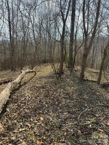 1820 Grapevine Road, Marshall, NC 28753