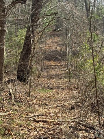 1820 Grapevine Road, Marshall, NC 28753