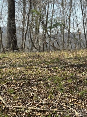 1820 Grapevine Road, Marshall, NC 28753