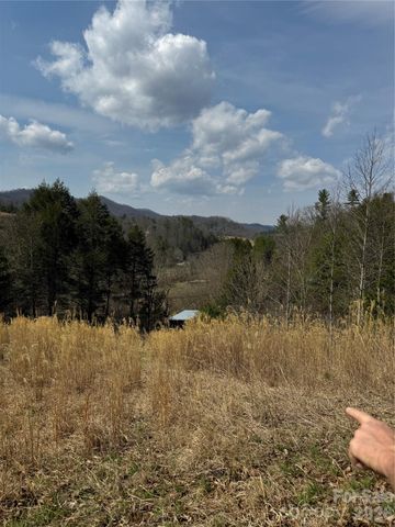 1820 Grapevine Road, Marshall, NC 28753