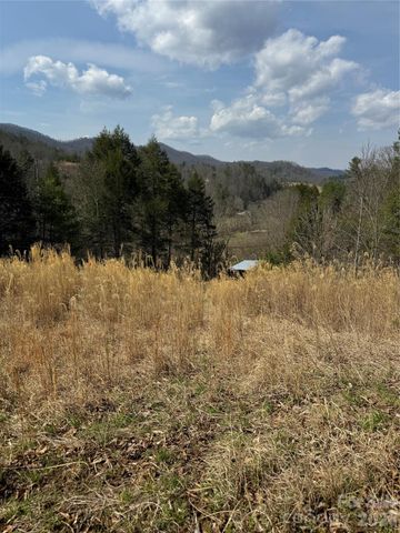 1820 Grapevine Road, Marshall, NC 28753