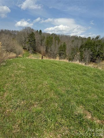 1820 Grapevine Road, Marshall, NC 28753