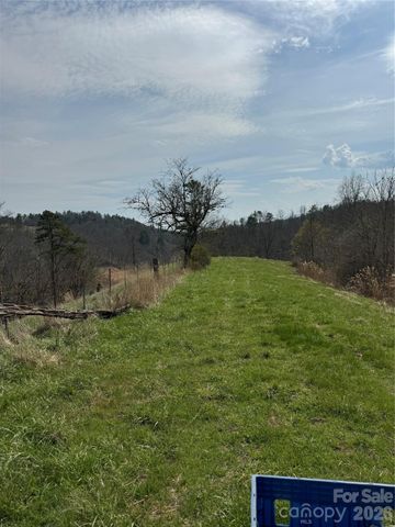 1820 Grapevine Road, Marshall, NC 28753