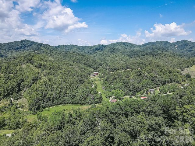 1820 Grapevine Road, Marshall, NC 28753