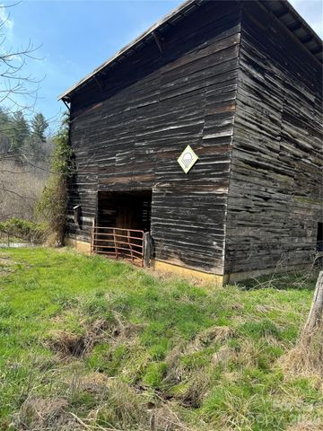 1820 Grapevine Road, Marshall, NC 28753