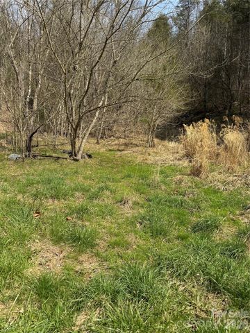 1820 Grapevine Road, Marshall, NC 28753