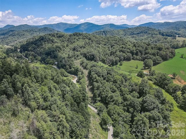 1820 Grapevine Road, Marshall, NC 28753