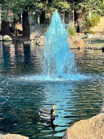 1040 Copper Park Ln, Modesto, CA 95355