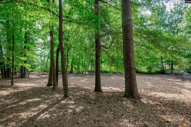 407 Hampton Forest Drive, Columbia, SC 29209