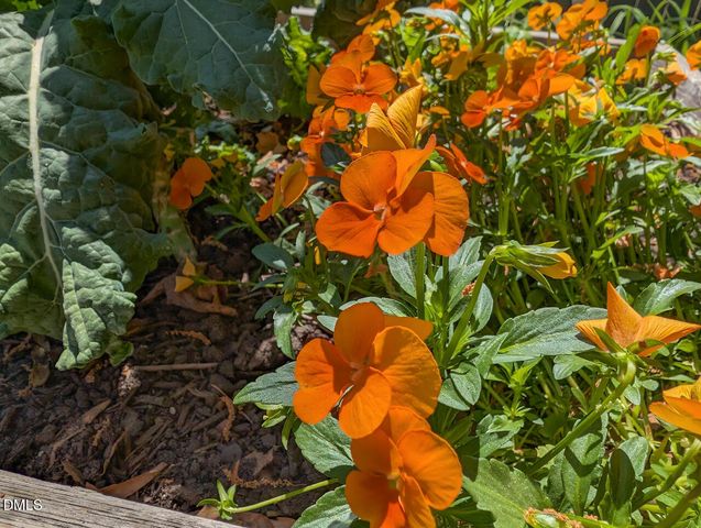 5300 Kerley Road, Durham, NC 27705