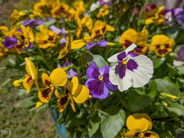 5300 Kerley Road, Durham, NC 27705