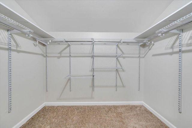 2952 Tree Swallow RD, Roanoke, VA 24018