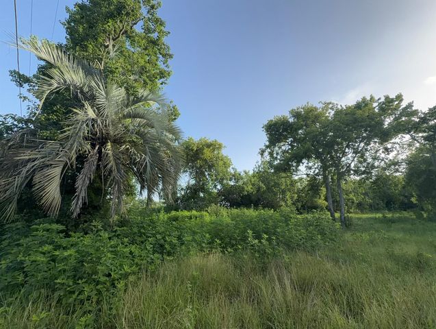 8903 Baker Street, Santa Fe, TX 77510