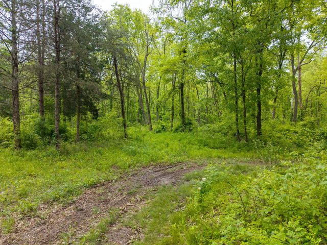 7146 W ELIZABETH ST, Columbia, MO 65202