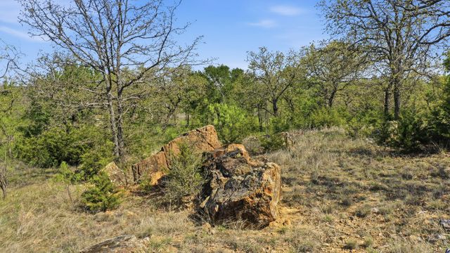 1005 Carter Lane, Santo, TX 76472