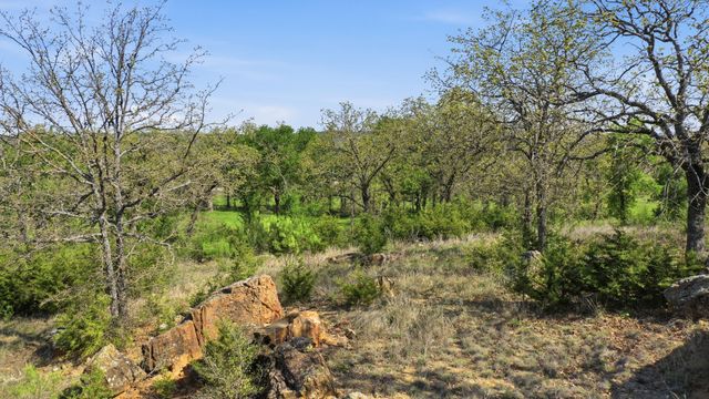 1005 Carter Lane, Santo, TX 76472