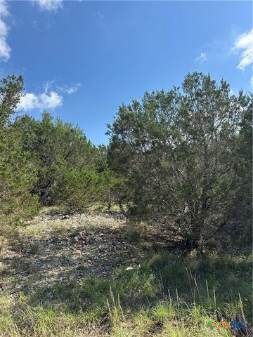 121 Agarita Drive, Spring Branch, TX 78070