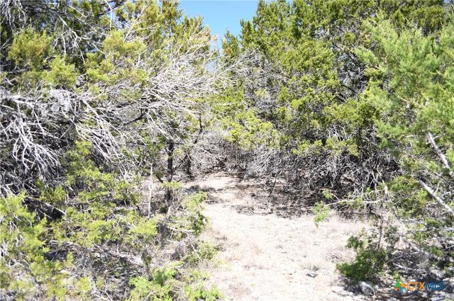 121 Agarita Drive, Spring Branch, TX 78070