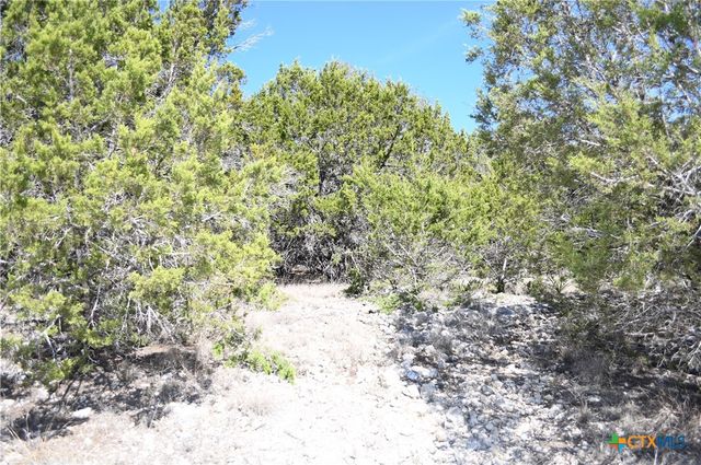 121 Agarita Drive, Spring Branch, TX 78070