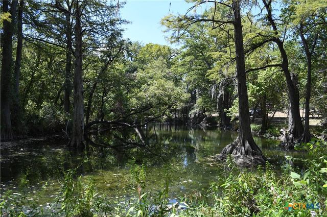 121 Agarita Drive, Spring Branch, TX 78070