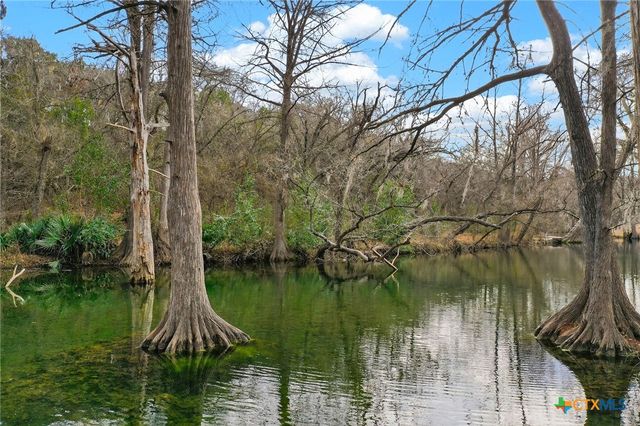 121 Agarita Drive, Spring Branch, TX 78070