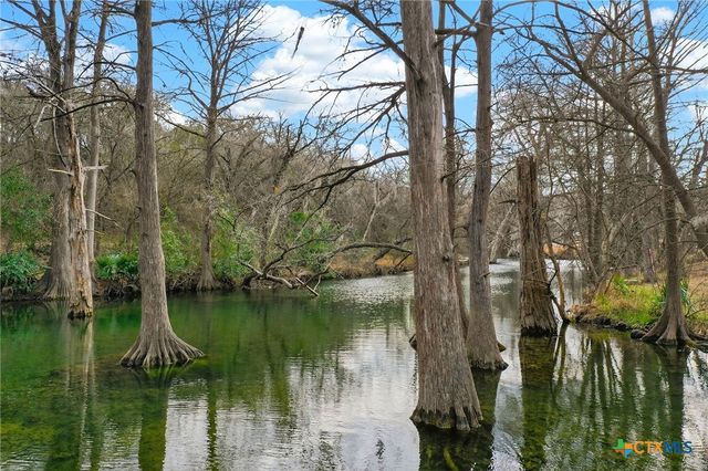 121 Agarita Drive, Spring Branch, TX 78070