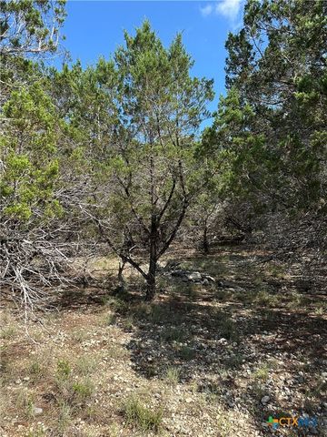 121 Agarita Drive, Spring Branch, TX 78070