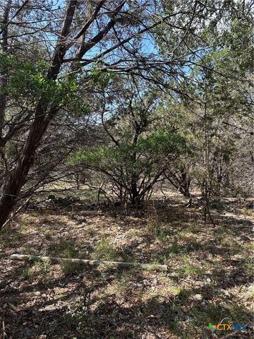 121 Agarita Drive, Spring Branch, TX 78070