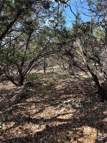 121 Agarita Drive, Spring Branch, TX 78070