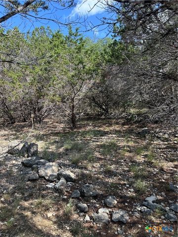 121 Agarita Drive, Spring Branch, TX 78070