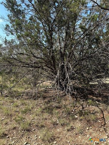 121 Agarita Drive, Spring Branch, TX 78070