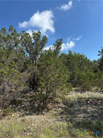 121 Agarita Drive, Spring Branch, TX 78070