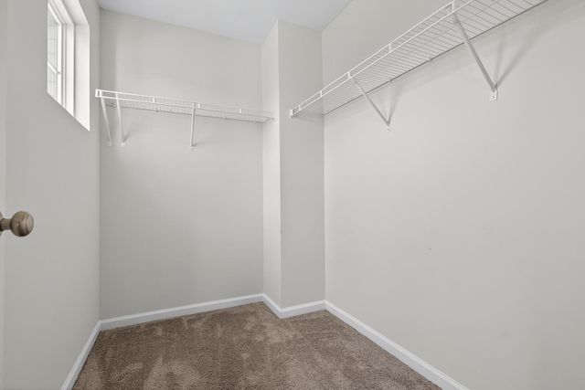418 Rowley Lane, Summerville, SC 29486