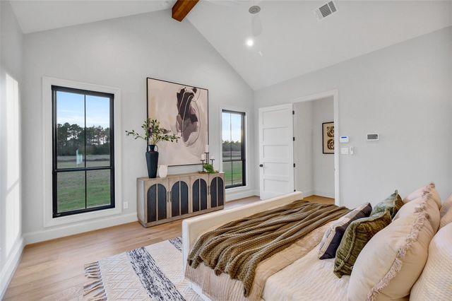 202 Astoria Avenue, Round Top, TX 78954