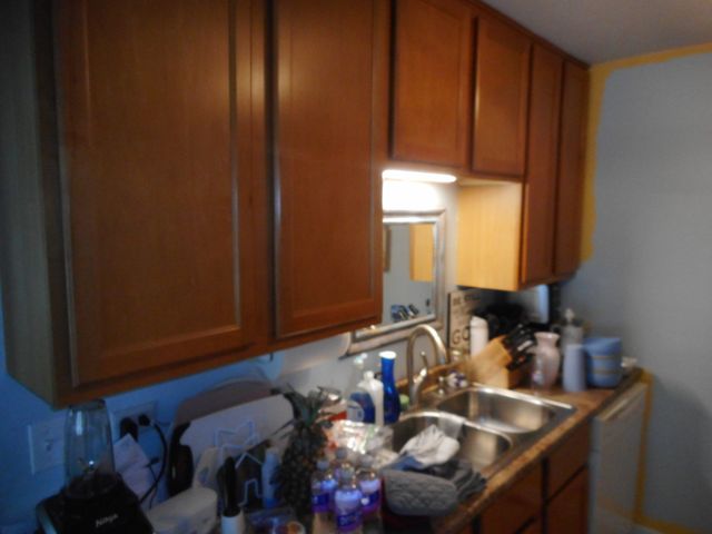 355 Wilmington Drive D1, Bartlett, IL 60103