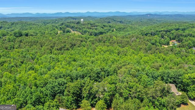 44 Paschal Court, Dawsonville, GA 30534