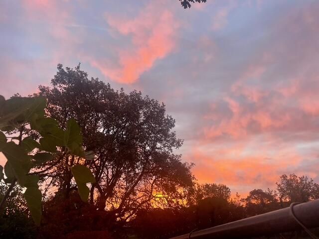 2446 Heritage Way, Medford, OR 97504