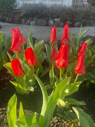 2446 Heritage Way, Medford, OR 97504