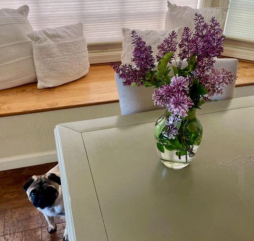 2446 Heritage Way, Medford, OR 97504