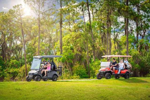 31519 AZURE BEACH DRIVE, San Antonio, FL 33576