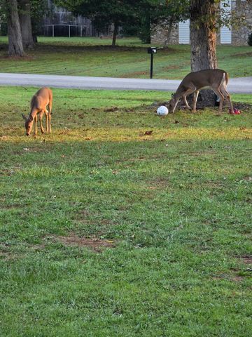 89 Trail's End, Corbin, KY 40701