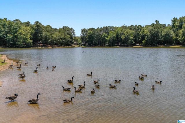 144 RED BAY DRIVE, Alabaster, AL 35114