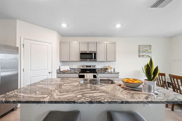30845 PENNY SURF LOOP, Wesley Chapel, FL 33545
