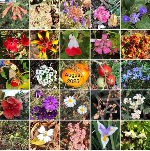 1542 Broadway, Alameda, CA 94501