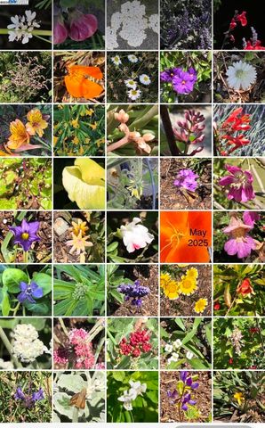 1542 Broadway, Alameda, CA 94501