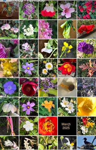 1542 Broadway, Alameda, CA 94501