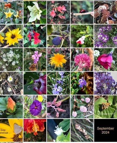 1542 Broadway, Alameda, CA 94501