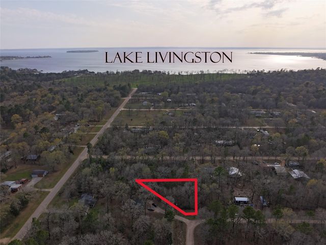 TBD Mossy Drive, Livingston, TX 77351