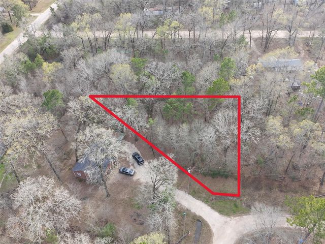 TBD Mossy Drive, Livingston, TX 77351