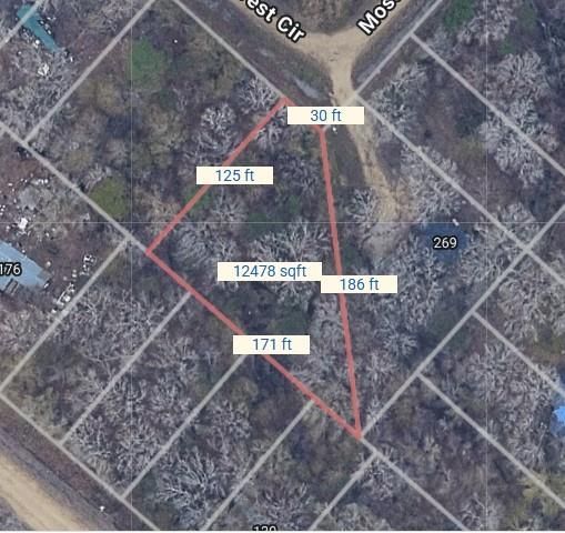 TBD Mossy Drive, Livingston, TX 77351